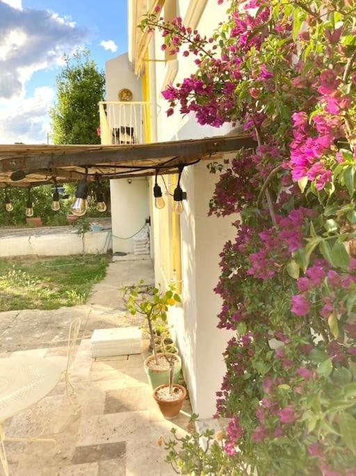 La Suite De La Maison Jaune Montpellier Extérieur photo